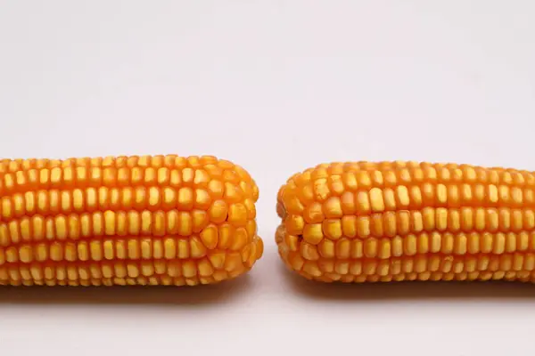 Krmivo Pro Zvířata Sušená Kukuřice Bílém Pozadí — Stock fotografie
