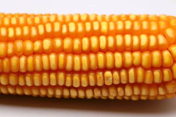 Takarmány Szárított Kukorica Fehér Alapon — Stock Fotó