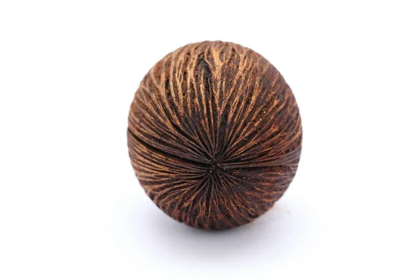 Cerbera Odollam Pong Pong Seed —  Fotos de Stock