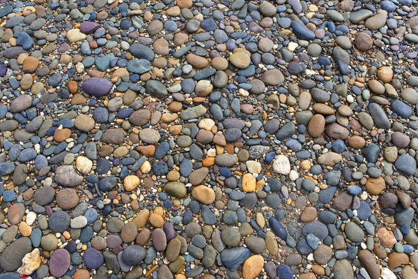 Batu Closeup Pantai — Stok Foto