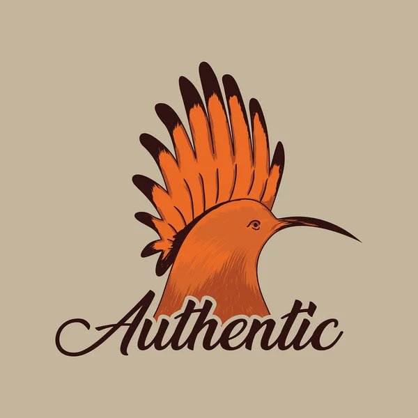 Authentic Bird Illustration Shirt — Stock Vector