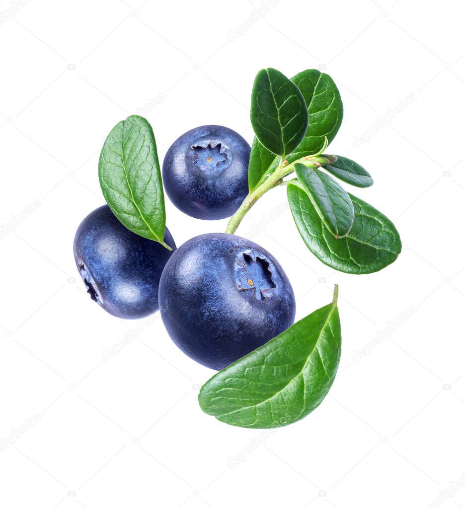 Ripe blueberries with leaves close up isolated on white background