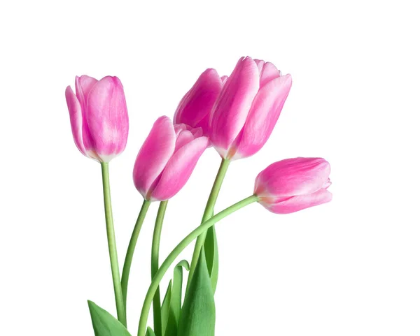 Boeket Van Vijf Roze Tulpen Close Geïsoleerd Witte Achtergrond — Stockfoto