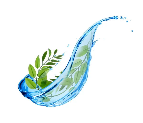 Hastes Verdes Com Salpicos Água Isolados Fundo Branco — Fotografia de Stock