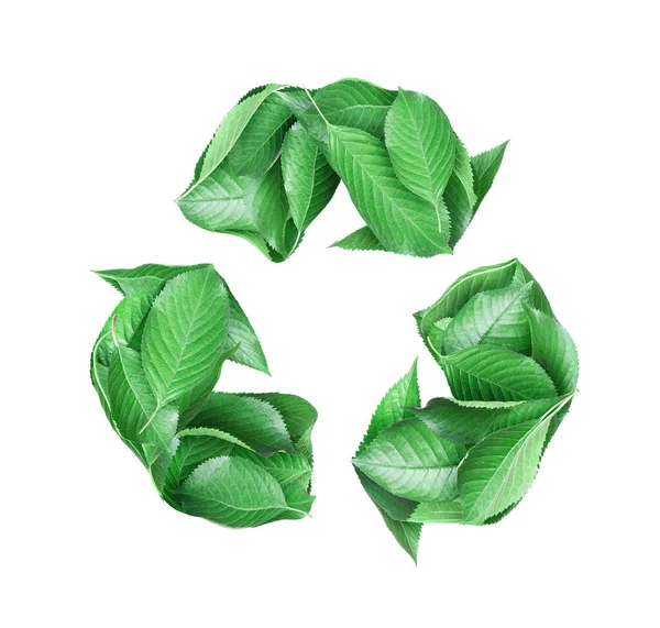 Sinal Reciclagem Criado Partir Folhas Verdes Fundo Branco — Fotografia de Stock