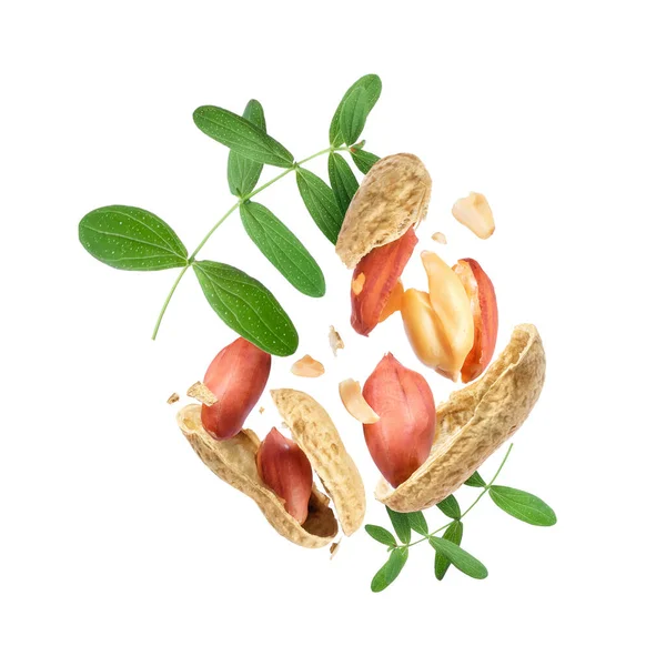 Crushed Peanuts Leaves Air White Background — Photo