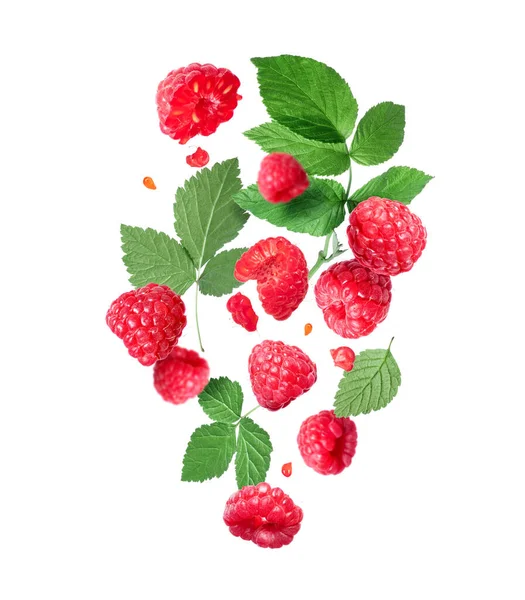 Ripe Raspberries Leaves Air Isolated White Background — Zdjęcie stockowe
