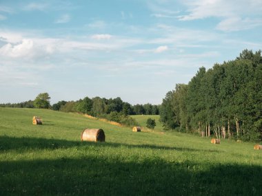 Saman balyalarıyla yeşil tepe