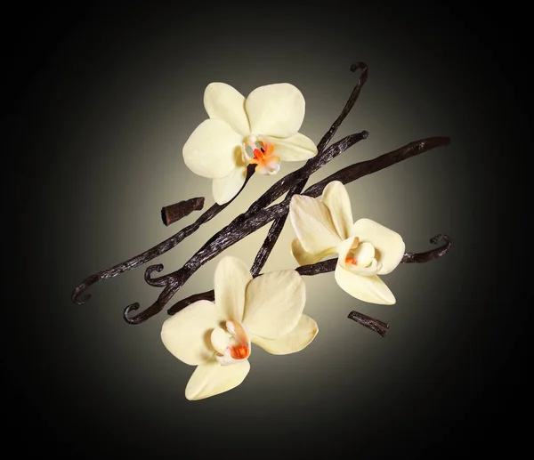 Τρία Λουλούδια Βανίλιας Αποξηραμένα Ξυλάκια Στον Αέρα Μαύρο Φόντο — Φωτογραφία Αρχείου