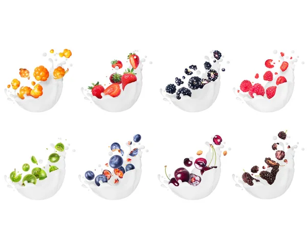 Set Different Berries Splashes Milk Isolated White Background — ストック写真