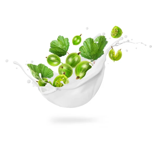 Gooseberry Leaves Milk Splashes Close Isolated White Background — Stockfoto