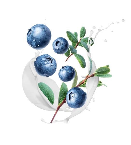 Wet Blueberries Splashes Milk Close Isolated White Background — Zdjęcie stockowe