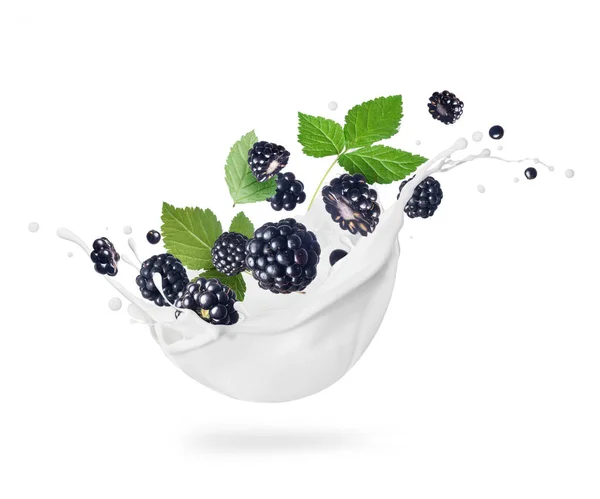 Blackberries Leaves Milk Splashes Close Isolated White Background — Zdjęcie stockowe
