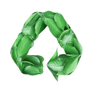 Yeşil yapraklardan yapılmış geri dönüşüm işareti, beyaz arkaplanda kavramsal görüntü