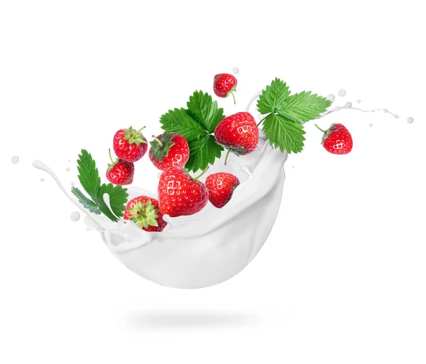 Erdbeeren Mit Blättern Milchspritzern Großaufnahme Isoliert Auf Weißem Hintergrund — Stockfoto
