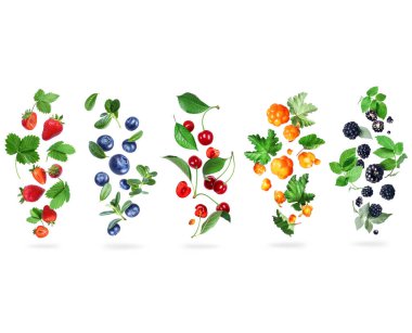 Beyaz arka planda yeşil yapraklı çeşitli olgun meyveler.