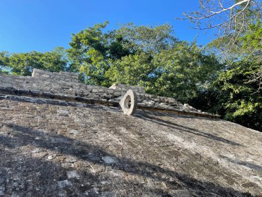 Maya 'nın Kolombiya öncesi Maya şehirlerinden biri olan Maya şehri Coba' nın tarihi ve medeniyeti hakkında bilgi edinmek için birçok turisti cezbeden maçı..