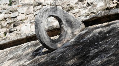 Koba şehrinde, Yucatan Yarımadası 'nda (Meksika) bulunan ve yaz tatilinde milyonlarca turisti cezbeden Maya basketbol maçının sepeti.