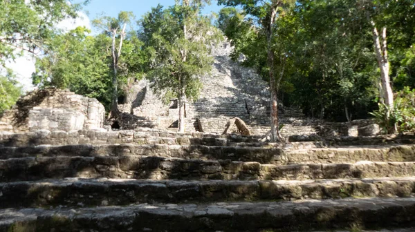 Una Las Pirámides Mayas Coba Nohoch Mul Medio Selva Península — Foto de Stock