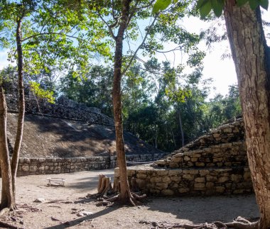 Tulum 'un yanındaki Coba şehrindeki ormanın ortasında eski ve eski Maya yapıları ve Karayip Denizi' ne komşu olan bu bölge, tatilcilerin ilgisini çeken Maya Rivierası olarak bilinir..