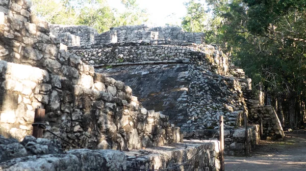 メキシコのジャングルの真ん中にある古代マヤ人の遺跡で この地域はマヤのリビエラとして知られており カリブ海の海岸線にあるツアーの隣に位置しています — ストック写真