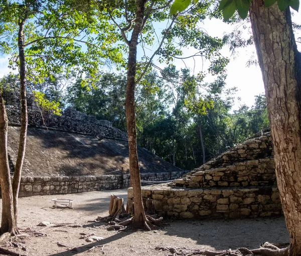 Παλιά Και Αρχαία Μάγια Κατασκευές Στη Μέση Της Ζούγκλας Στην — Φωτογραφία Αρχείου