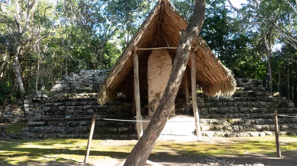 コバのマヤ遺跡の隣のジャングルの真ん中にあるマヤの家 — ストック写真