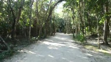 Mayaların Coba harabelerinin bulunduğu Yucatan Yarımadası 'nın ortasında bisiklet sürüyorum..