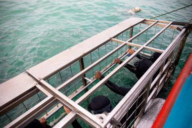 Güney Afrika 'daki Gansbaai kasabası yakınlarındaki köpekbalığı geçidinde bir teknede köpek balığı gözlemindeki insanlar büyük beyaz köpekbalığı gibi deniz canlılarını izlemeye hazırlar..