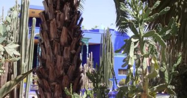 1924 yılında Fransız gurbetçi Jacques Majorelle tarafından tasarlanan, Fas 'taki Marakeş' in botanik bahçesi Majorelle Garden 'ın çiçek ve bitkileriyle çevrili bir bina..