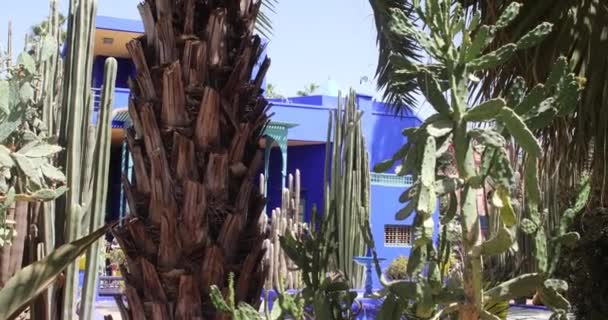 由法国艺术家Jacques Majorelle于1924年设计的摩洛哥马拉喀什植物园Majorelle Garden的花卉和植物环绕的建筑 — 图库视频影像