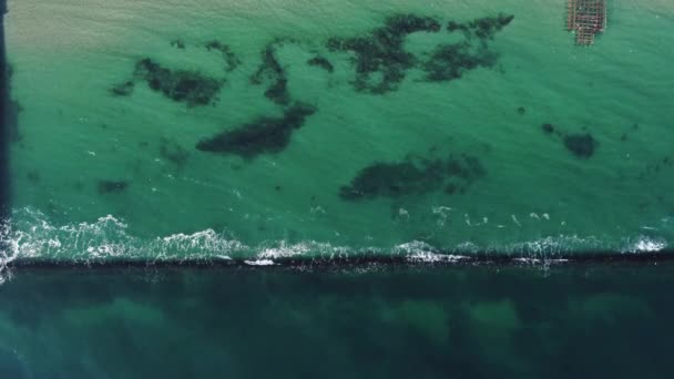 Aerial Top View Beautiful Sea Flying Birds Small Waves — Stock Video