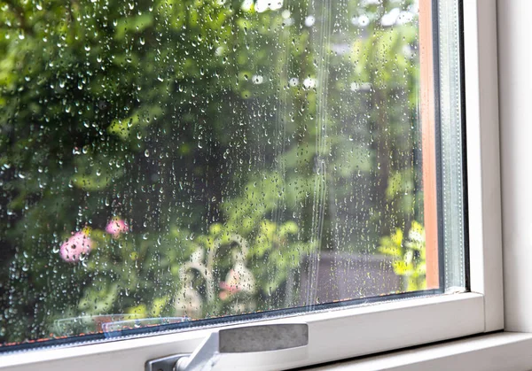 View from the window to the garden in the summer on a rainy day. Raindrops on the window glass. High quality photo