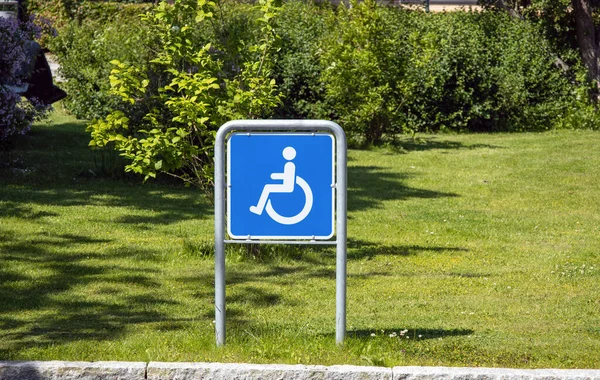 Wheelchair handicap sign in a parking against the backdrop of a green lawn. High quality photo