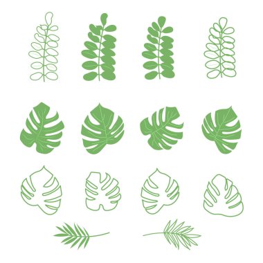 Tropikal yaprak ve bitkilerin bir dizi vektör çizimleri, beyaz arka planda izole edilmiş bitki dalları. Kozmetik, kaplıca, güzellik ürünleri için bitkisel elementler