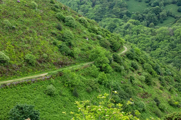 Lynton ve Lynmouth Devon Exmoor İngiltere 'deki ormanlık alandan geçen güney batı sahil yolunun manzarası.