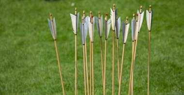 traditional bamboo arrows with white and black feathers
