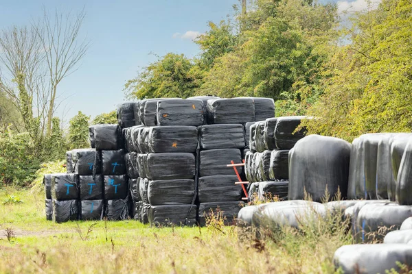 Balles Foin Recouvertes Plastique Noir Empilées Prêtes Pour Hiver — Photo