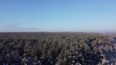Kış kozalaklı ormanların üzerinden güneşe doğru uçuyor, bir dronun kuş bakışı bakışından ateş ediyor.