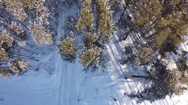Flyger Över Silverbil Passerar Genom Vacker Frostig Granskog Täckt Med — Stockvideo