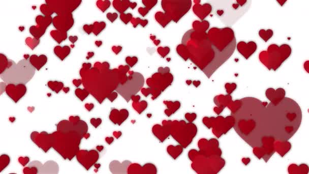 Fondo Blanco Con Corazones Rojos Animación Día San Valentín — Vídeos de Stock