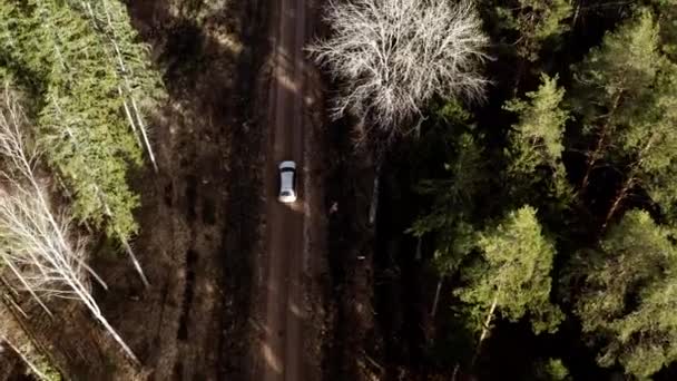 Flygning Bil Kör Genom Skogen — Stockvideo
