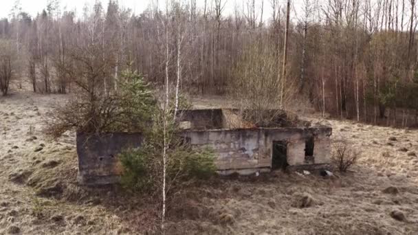 Luchtopname Van Verlaten Huis Met Groeiende Bomen Binnen — Stockvideo