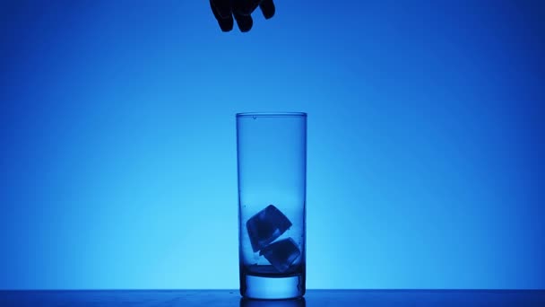 Ice Cubes Falls Collins Glass Blue Background Silueta — Stock video