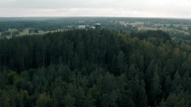 Vista Aérea Del Bosque Árboles Mixtos — Vídeo de stock