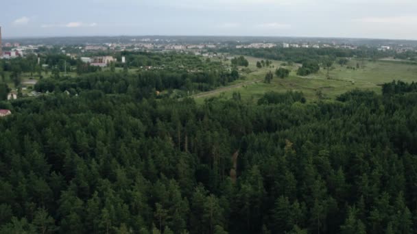 Drone Voando Sobre Floresta Árvore Mista — Vídeo de Stock