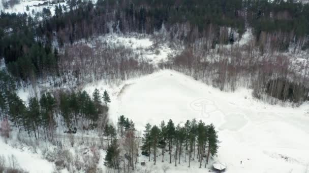 Drone Flight View Pine Forest Vintern — Stockvideo