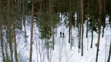 Anne ve baba çocuklarını kızaklarla karlı orman parkına sürüklüyor..