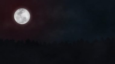 Dolunaylı Karanlık Gece Gökyüzü Ve Ormanın Üzerinde Yıldızlar.