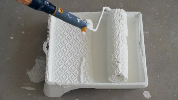 Paint Roller Dipped White Paint Paint Tray — Stock Video